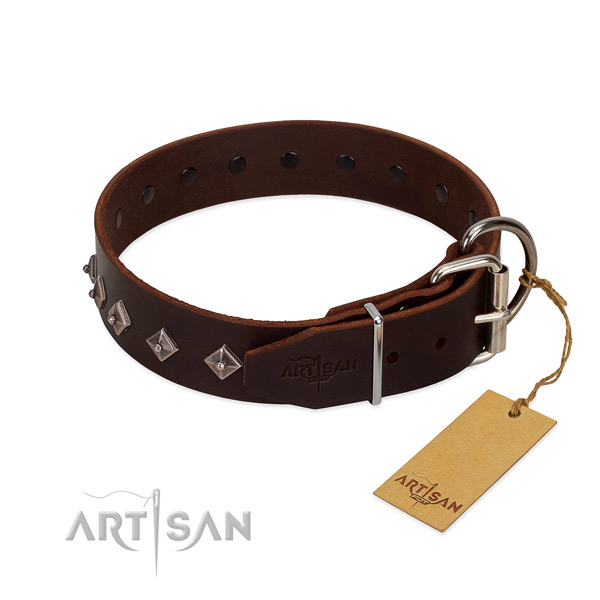 Amazing studs on leather collar for daily walking your pet