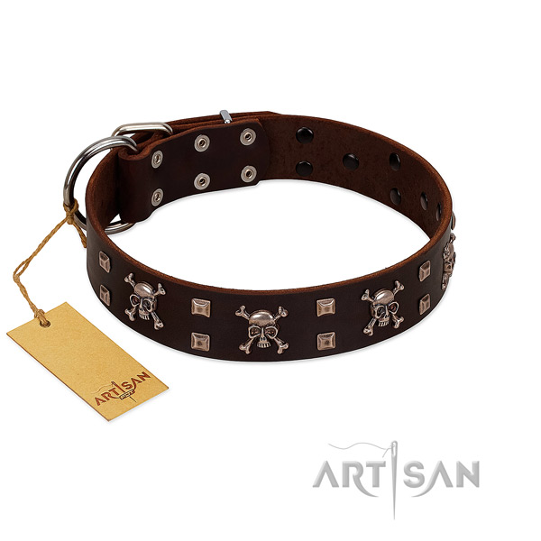 Flexible leather dog collar created for your canine