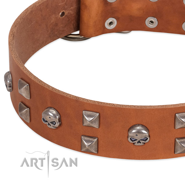Quality leather dog collar made for your canine