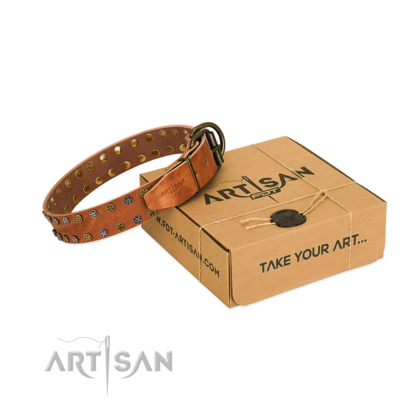 Everyday use quality full grain natural leather dog collar with embellishments