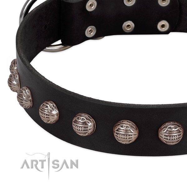 Leather collar with stunning adornments for your pet