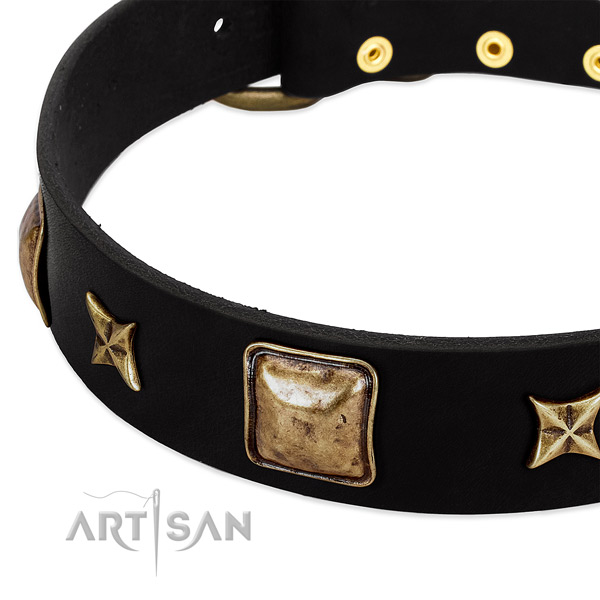 Leather dog collar with top notch decorations