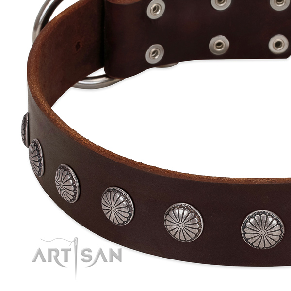 Soft full grain natural leather dog collar with studs for stylish walking