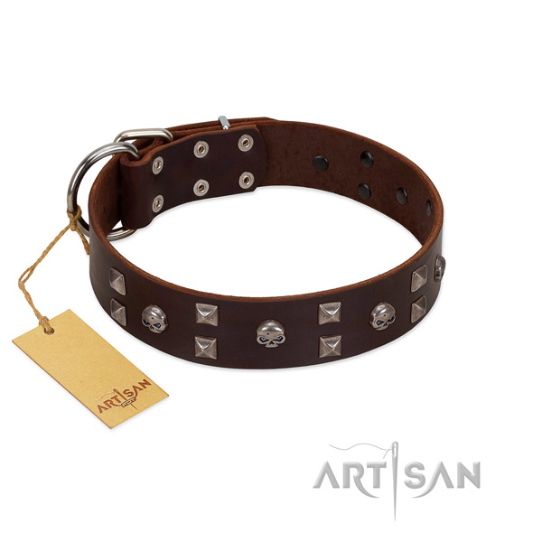 Comfortable wearing dog collar of natural leather with incredible embellishments