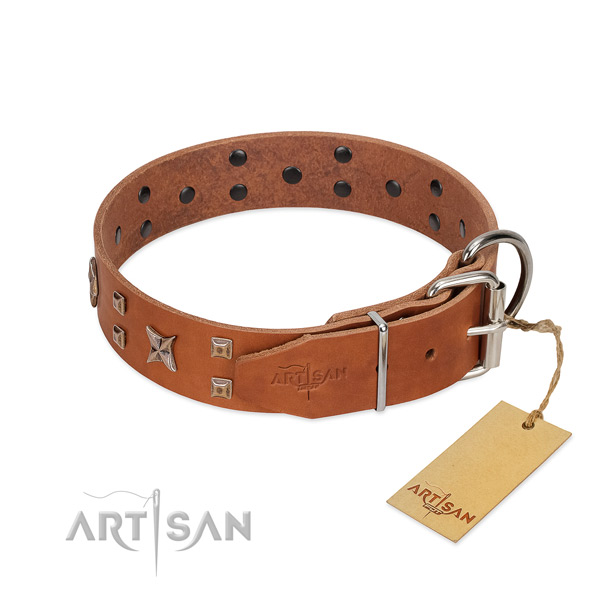 Flexible leather dog collar for your attractive doggie