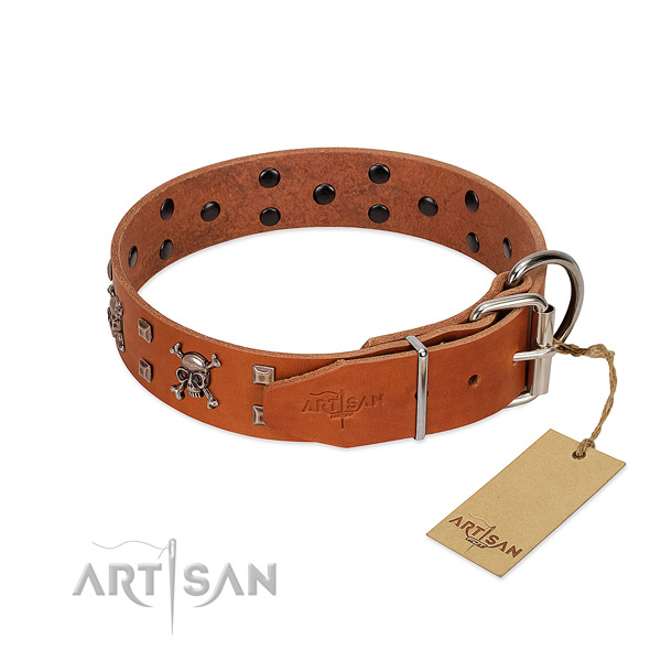 Comfortable wearing top notch full grain natural leather dog collar with adornments