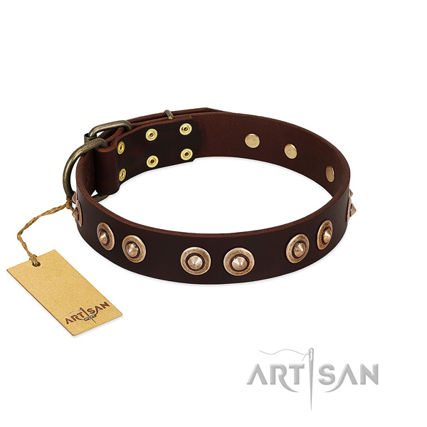 Reliable studs on full grain natural leather dog collar for your four-legged friend