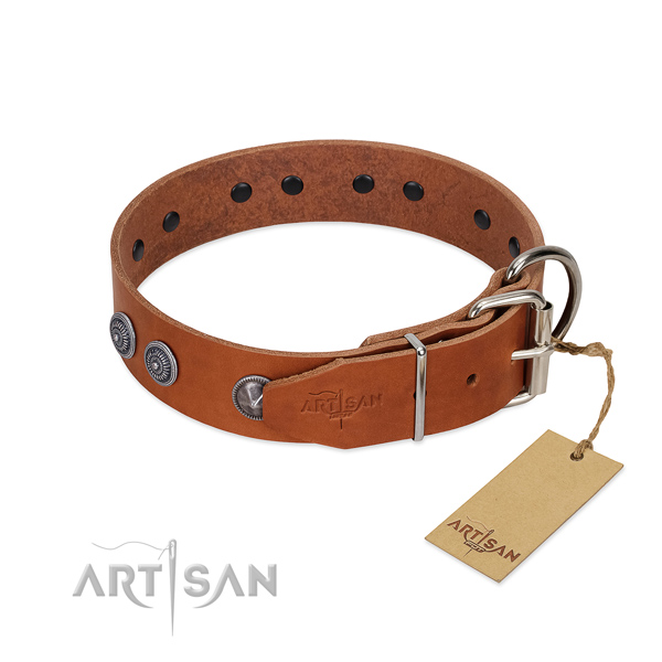 Rust resistant traditional buckle on comfy wearing collar for your doggie