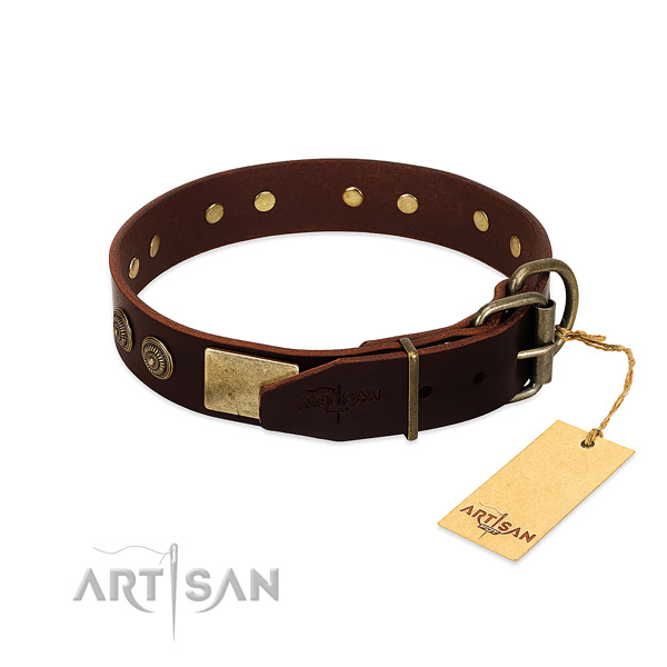 Corrosion proof adornments on full grain genuine leather dog collar for your dog