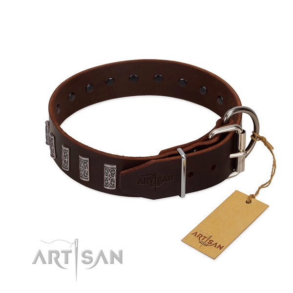 Rust resistant buckle on full grain natural leather dog collar for walking your dog