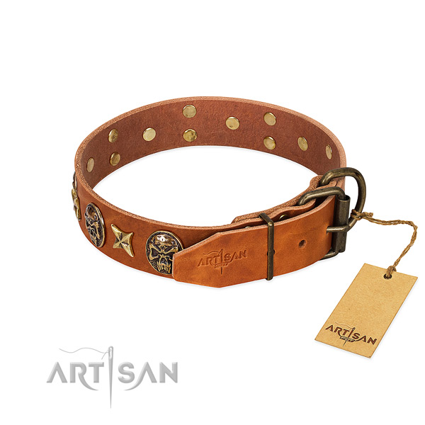 Leather dog collar with reliable hardware and adornments