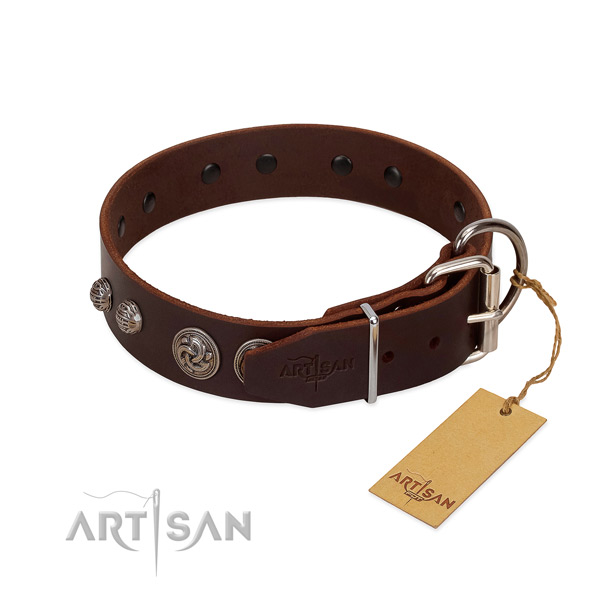Reliable decorations on full grain genuine leather dog collar for your canine