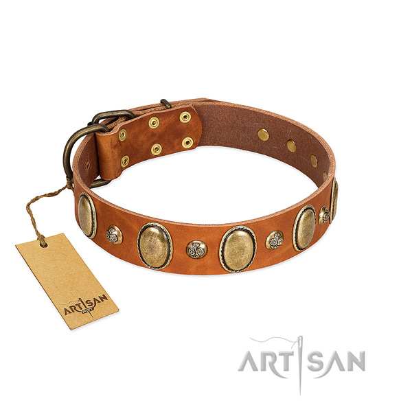 Full grain genuine leather dog collar of top notch material with exceptional adornments