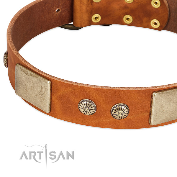 Corrosion proof fittings on full grain natural leather dog collar for your four-legged friend