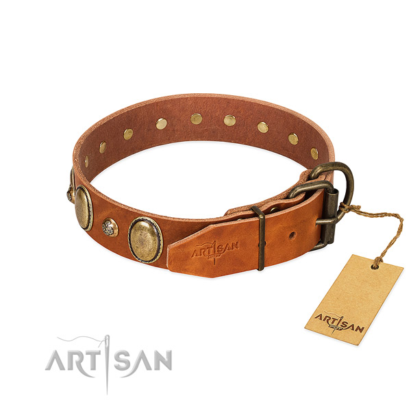 Rust resistant buckle on leather collar for stylish walking your four-legged friend