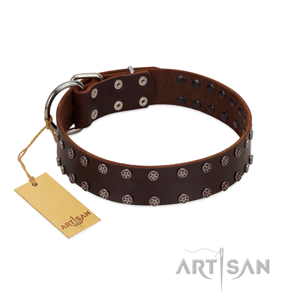 Easy wearing natural leather dog collar with fashionable studs