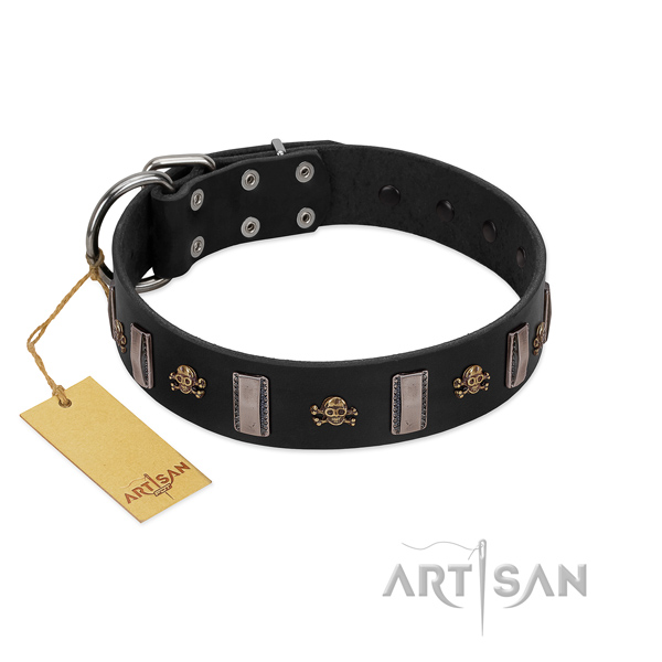 Leather dog collar with inimitable studs for your pet