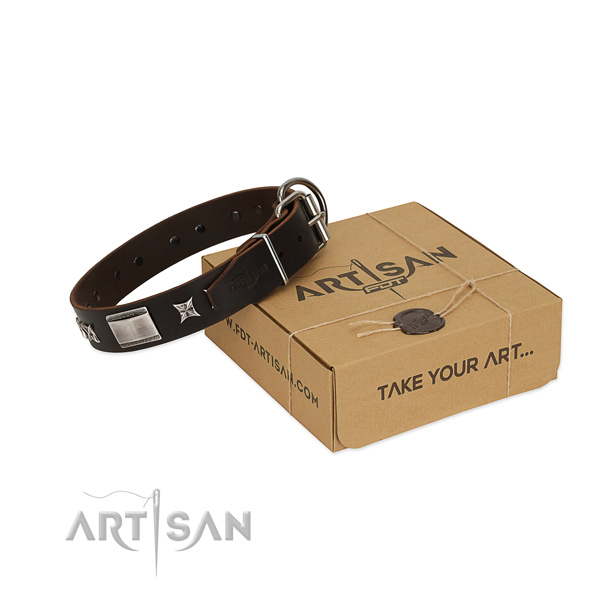 Designer collar of genuine leather for your attractive canine