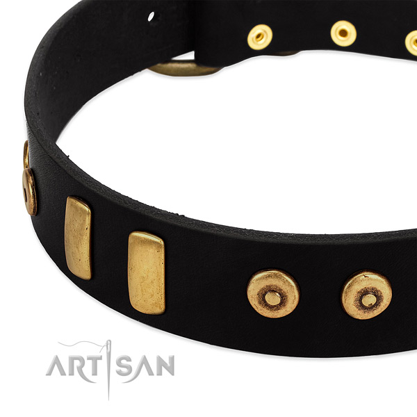 Soft full grain leather collar with stunning embellishments for your dog
