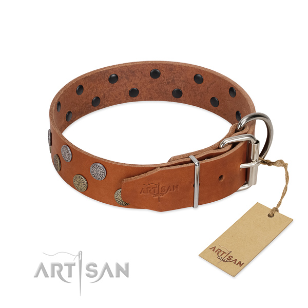Corrosion proof D-ring on full grain genuine leather dog collar for walking