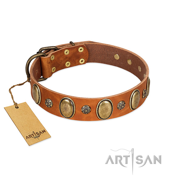 Everyday use quality full grain natural leather dog collar with embellishments