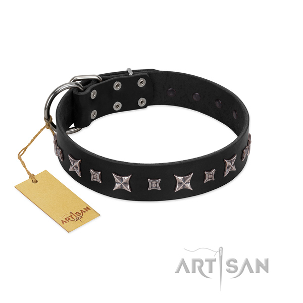 Incredible full grain leather collar for your attractive pet