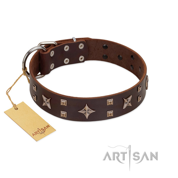 Everyday use natural leather dog collar with stylish decorations