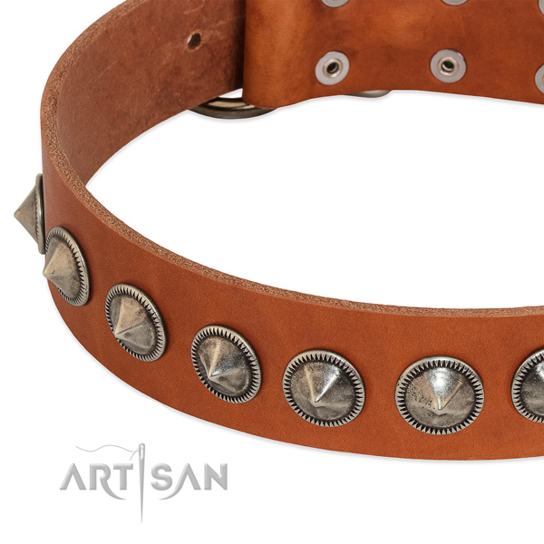 Comfortable wearing decorated full grain natural leather collar for your pet