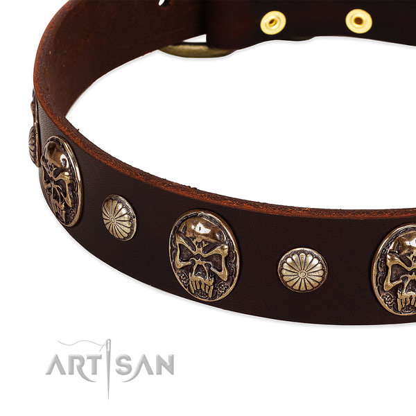 Genuine leather dog collar with embellishments for stylish walking