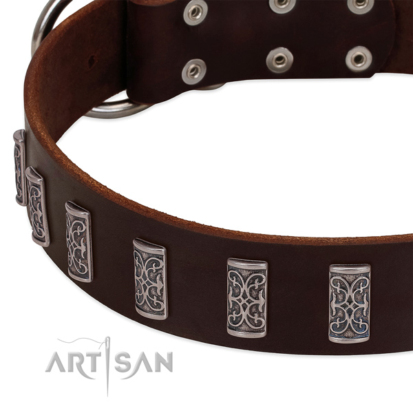 Durable natural leather dog collar made for your dog