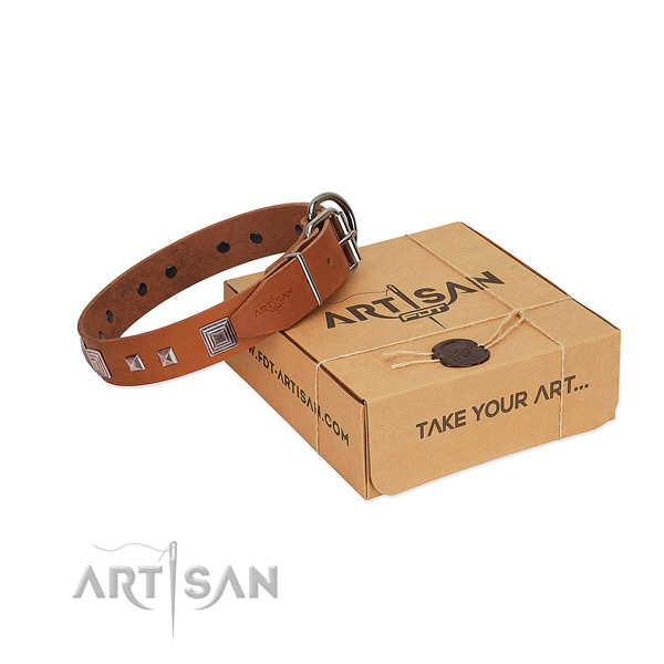 Unique full grain leather collar with decorations for your four-legged friend