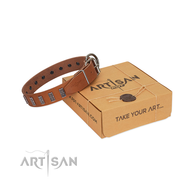 Rust resistant D-ring on leather collar for walking your four-legged friend