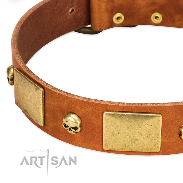 Quality full grain natural leather dog collar with rust-proof D-ring