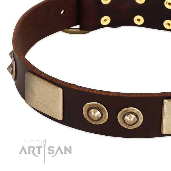 Rust resistant adornments on genuine leather dog collar for your four-legged friend