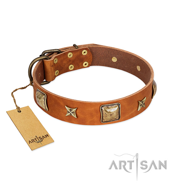 Top notch full grain leather collar for your doggie