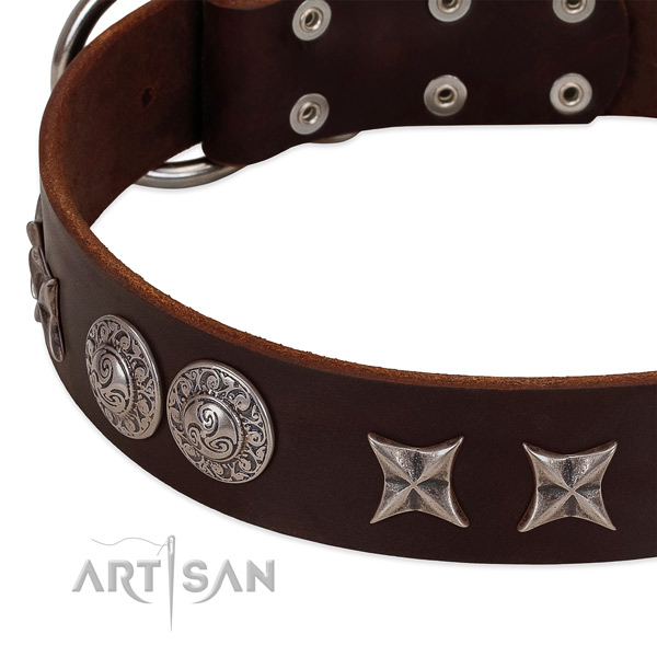 Unusual full grain leather dog collar with rust-proof traditional buckle