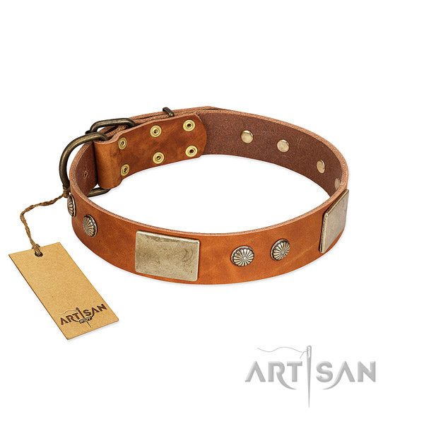 Adjustable full grain leather dog collar for stylish walking your canine