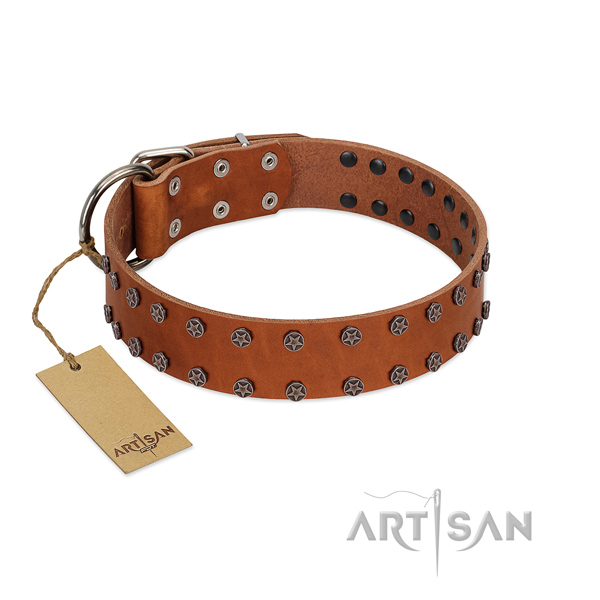 Easy wearing full grain genuine leather dog collar with stylish studs