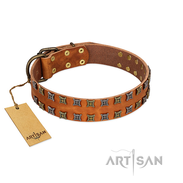 High quality natural leather dog collar with embellishments for your four-legged friend
