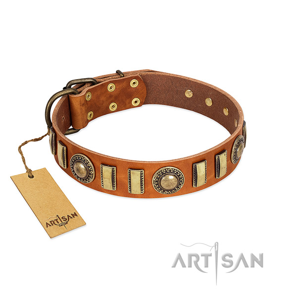 Top rate full grain leather dog collar with corrosion resistant D-ring