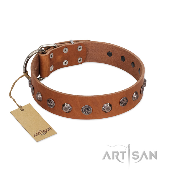Top quality full grain natural leather dog collar