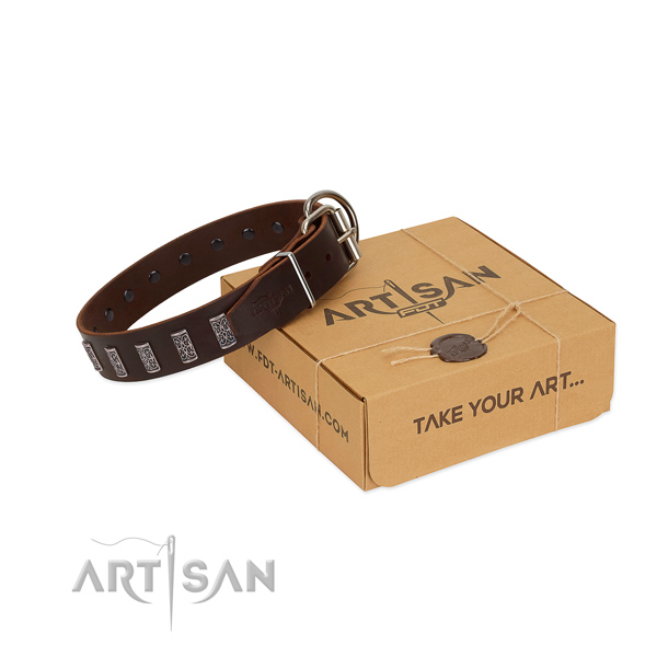 Corrosion proof buckle on leather dog collar for stylish walking your four-legged friend