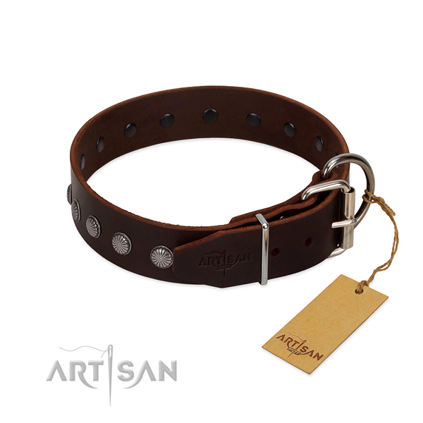 Exquisite full grain leather collar for fancy walking your pet