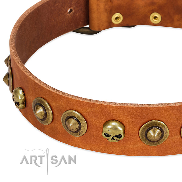 Trendy adornments on genuine leather collar for your doggie