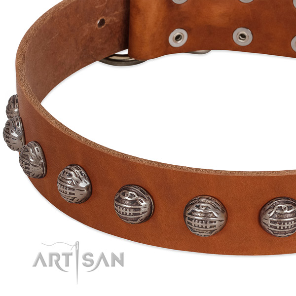 Exquisite leather dog collar with strong studs
