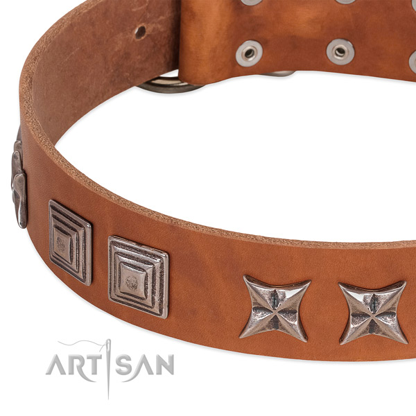 Gentle to touch full grain leather dog collar with strong D-ring