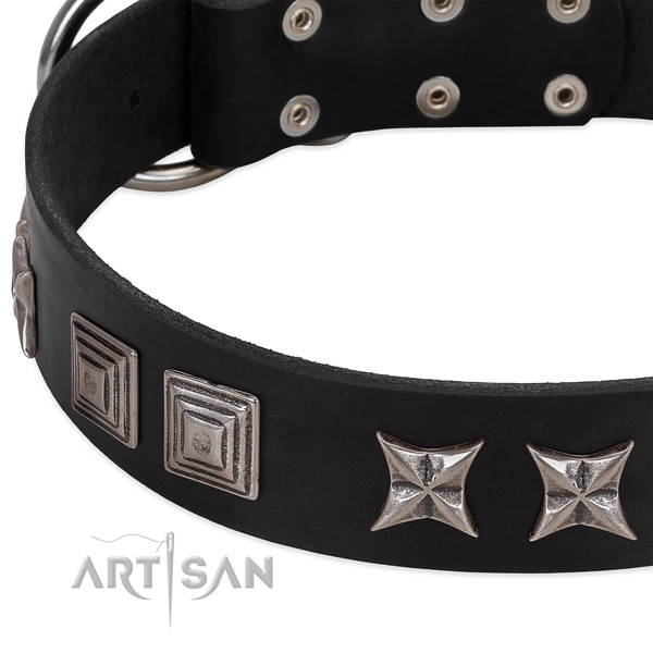 Daily use leather dog collar with unusual embellishments