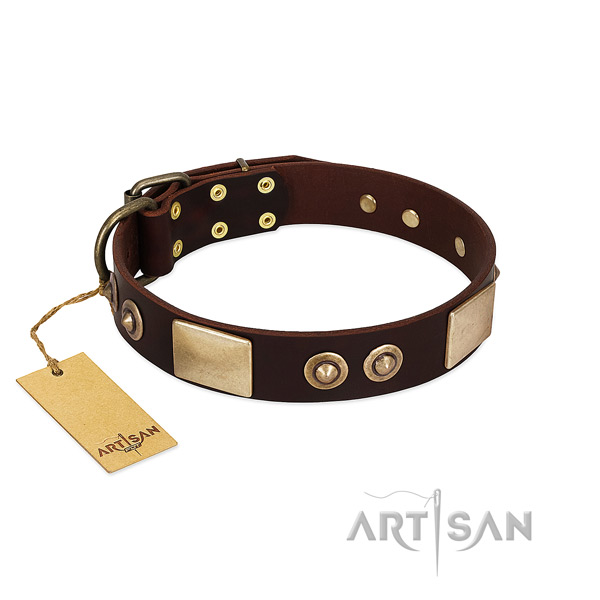 Adjustable full grain leather dog collar for everyday walking your doggie