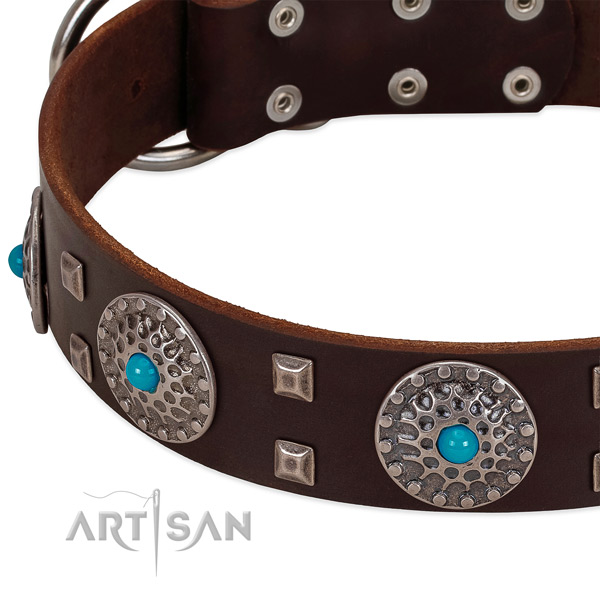 Top notch full grain genuine leather dog collar with stylish embellishments