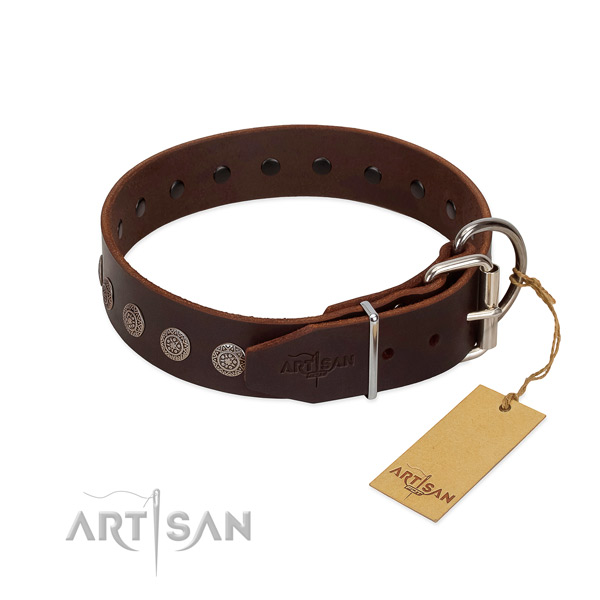 Unique leather collar for your canine